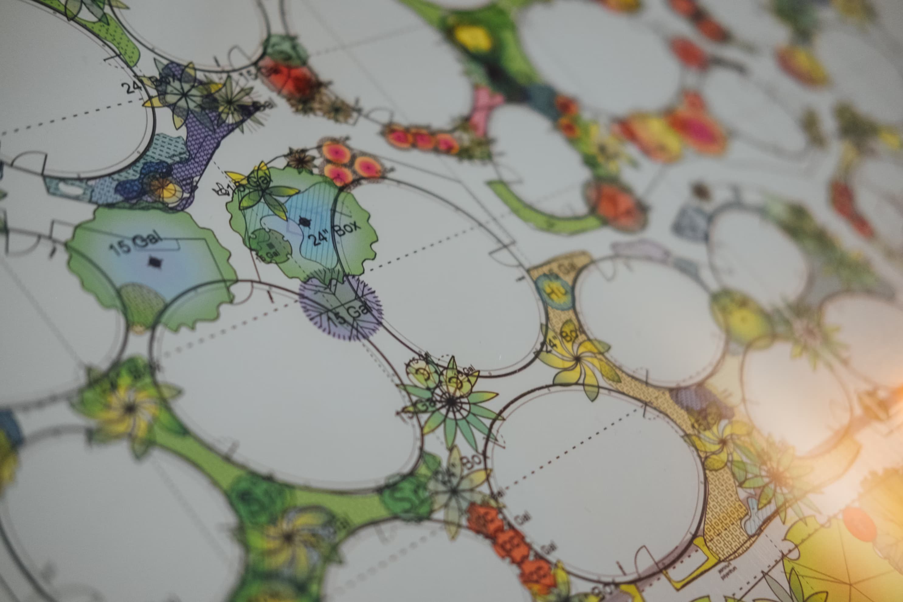 Planning a sustainable garden