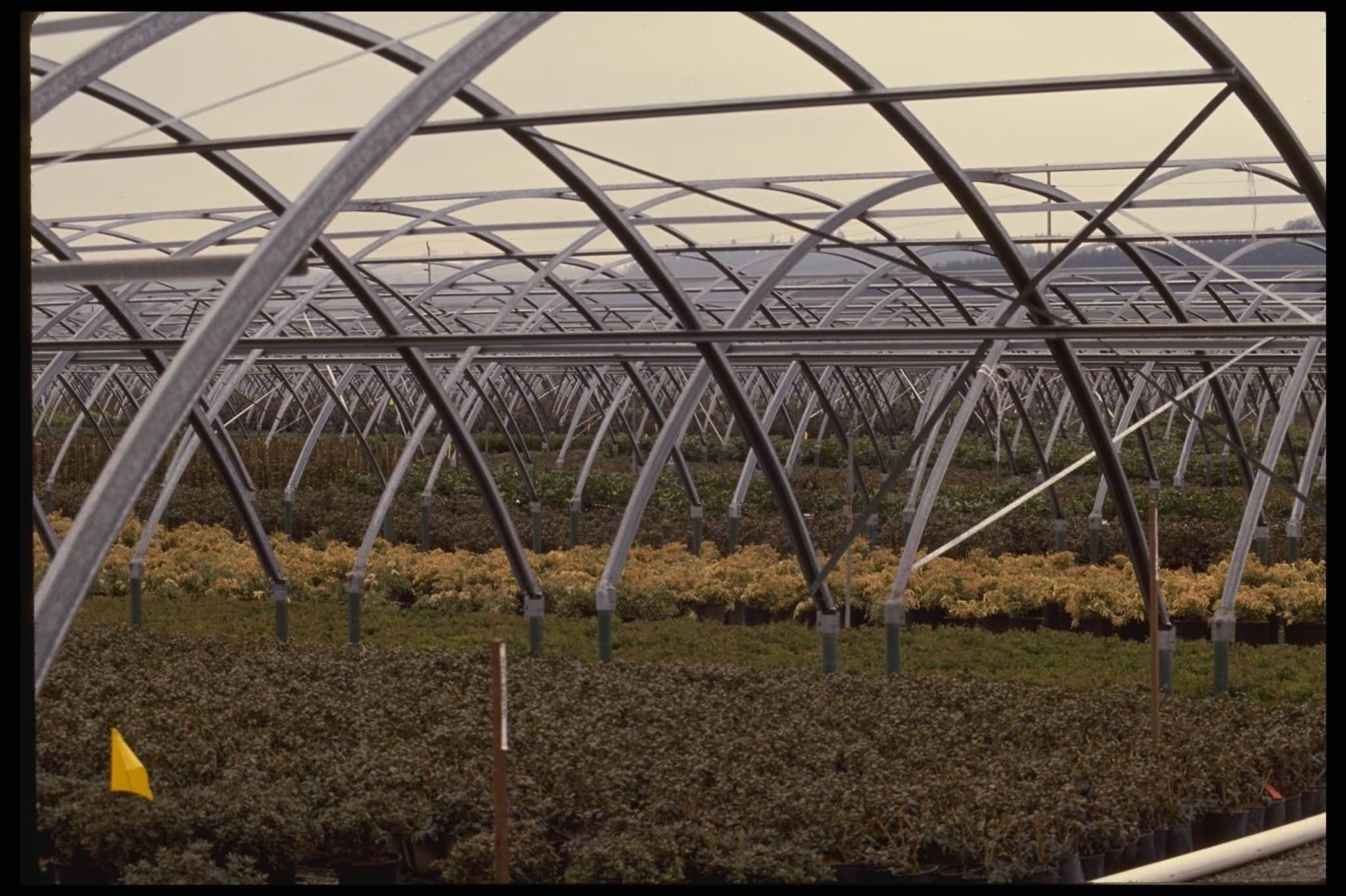 Efficient greenhouse systems